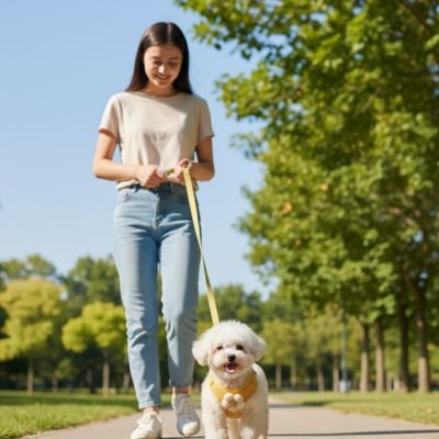 harnais pour petit chien promenade quotidienne