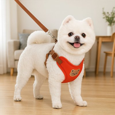 harnais pour petit chien promenade sécurisé