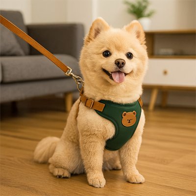 harnais pour petit chien rembourre léger