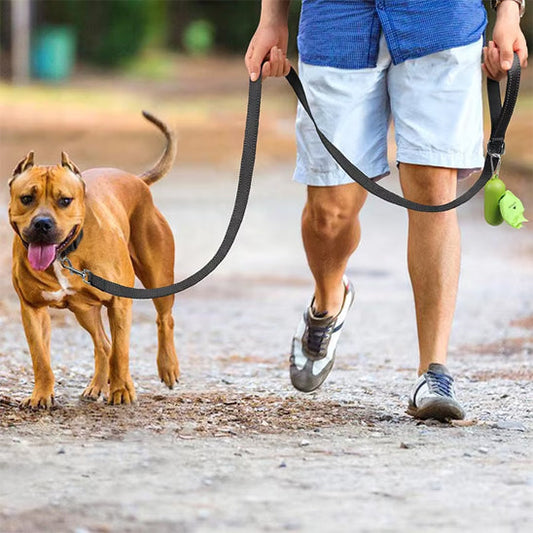 homme balade chien avec laisse pour chien
