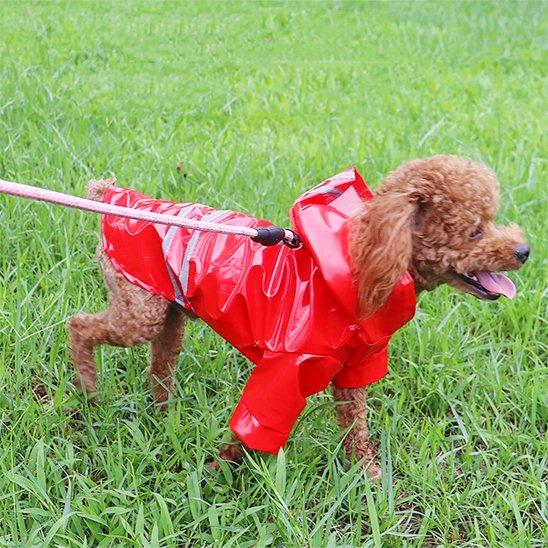 imperméable chien bandes réfléchissantes