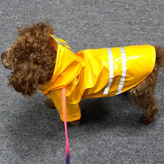 imperméable chien confortable temps pluvieux