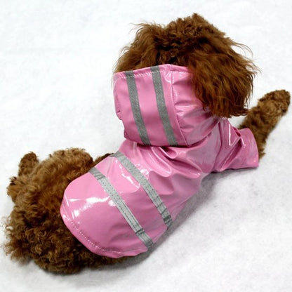 imperméable chien promenade pluie