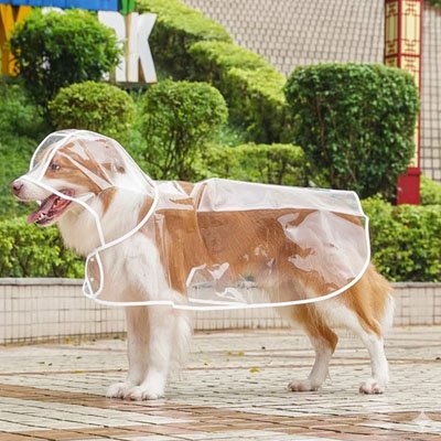imperméable pour chien balade extérieur