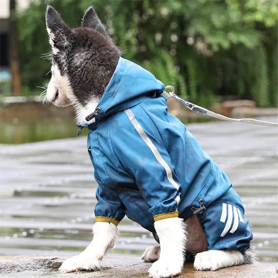 imperméable pour chien petit modèle confort