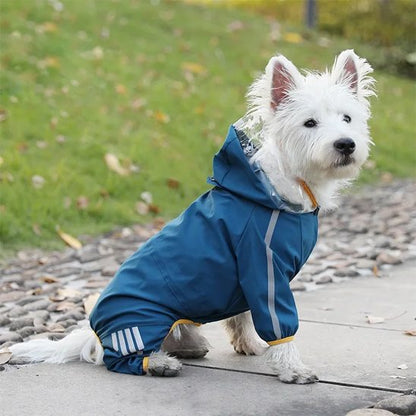 imperméable pour chien poncho ouverture laisse