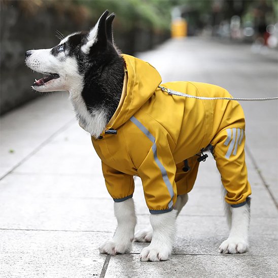 imperméable pour chien protection pluie neige