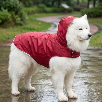 imperméable pour chien protection pluie 