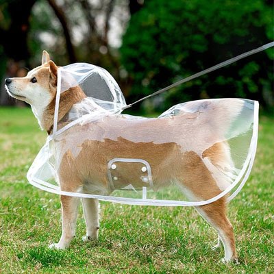 imperméable pour chien protection pluie