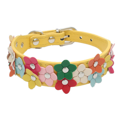 Collier chien cuir | Élégant et Robuste