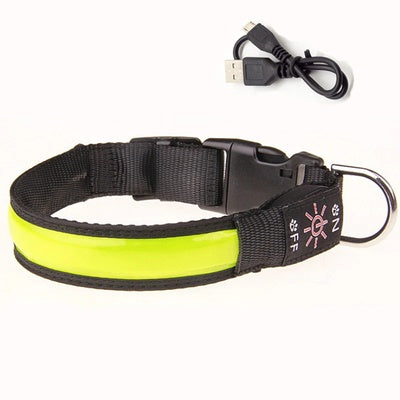 Collier lumineux pour chien rechargeable USB | Sécurité
