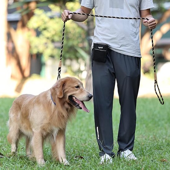 laisse chien contrôle sécurisé
