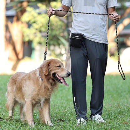 laisse chien contrôle sécurisé