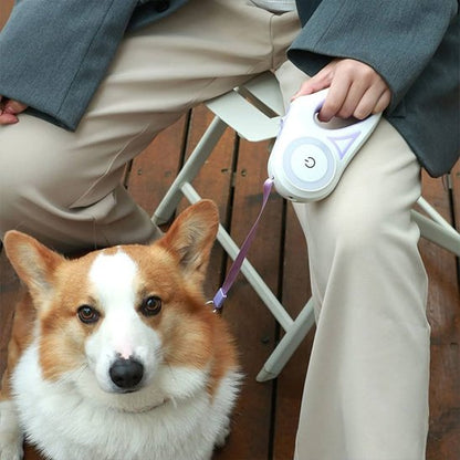 laisse chien enrouleur balade confort