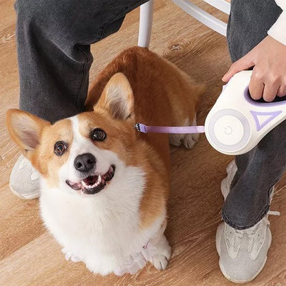 laisse chien enrouleur utilisation facile