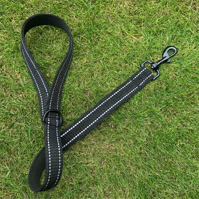 laisse de chien résistante durable