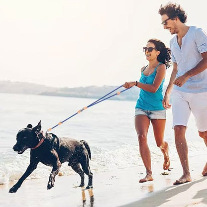 laisse double chien confort sortie