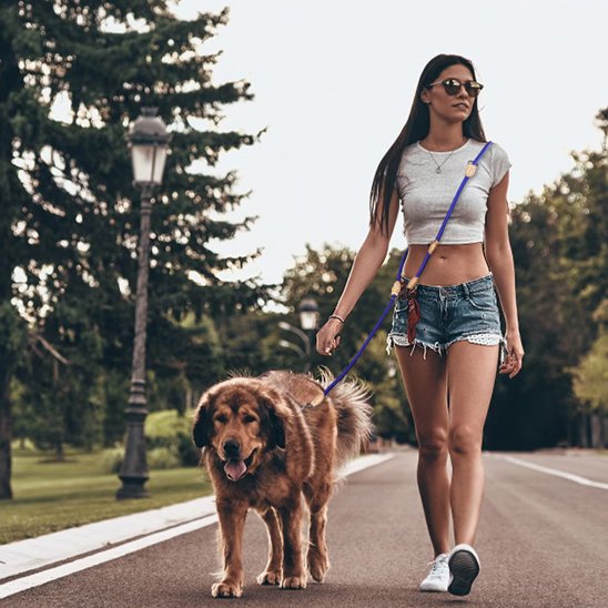 laisse double chien facile utiliser