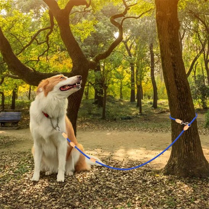 laisse double chien pratique balade