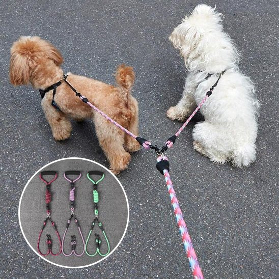 laisse double pour chien balade quotidienne