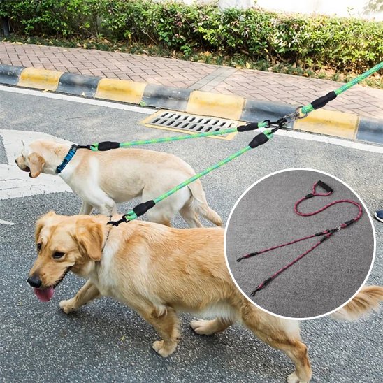 laisse double pour chien confort promenade