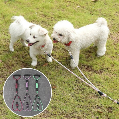 laisse double pour chien contrôle optimal
