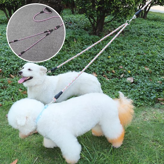 laisse double pour chien design pratique