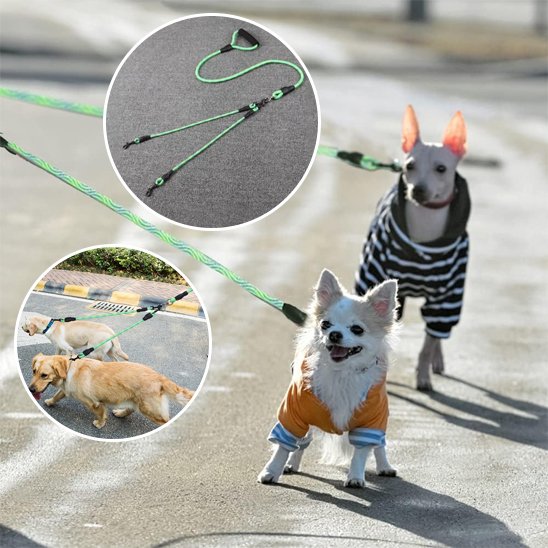 laisse double pour chien nylon solide