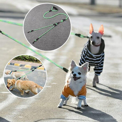 laisse double pour chien nylon solide