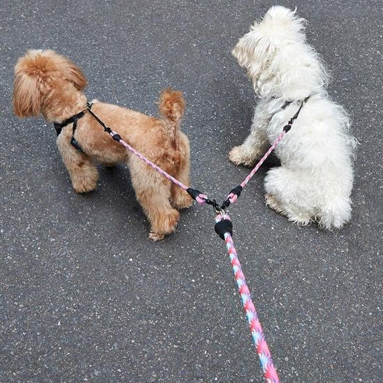 laisse double pour chien résistante durable