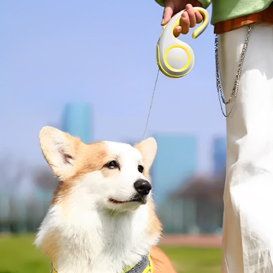 laisse enrouleur chien contrôle facile 