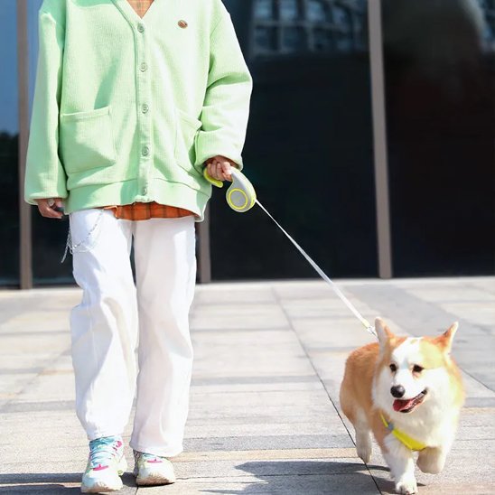 laisse enrouleur chien poignée ergonomique