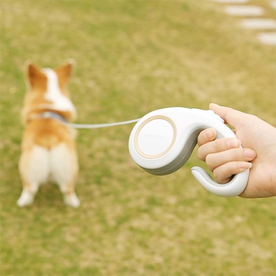 laisse enrouleur chien rétractable