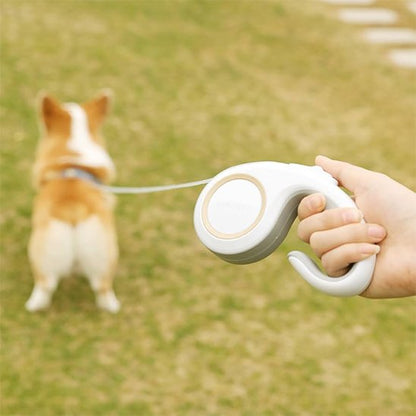 laisse enrouleur chien rétractable