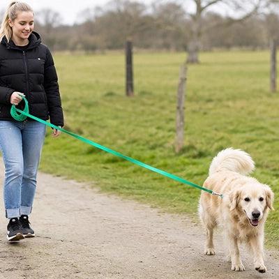 laisse longe pour chien balade contrôlée