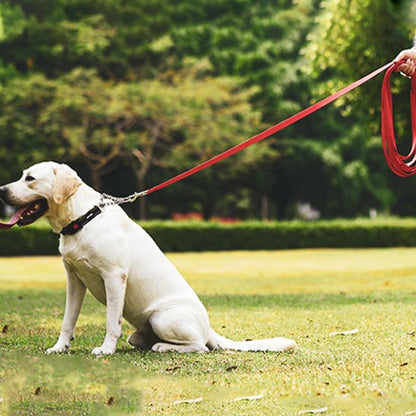 laisse longe pour chien imperméable