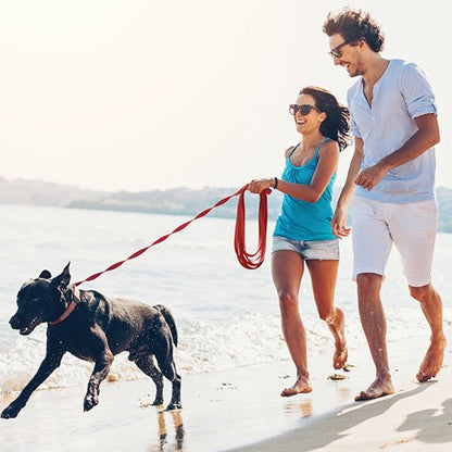 laisse longe pour chien pour promenade