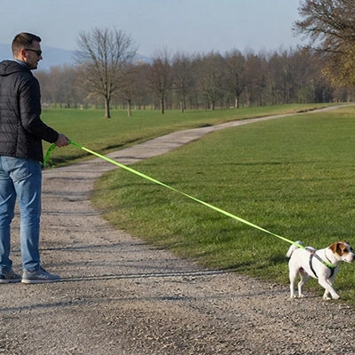 laisse longe pour chien rappel quotidien