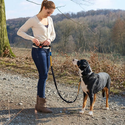 laisse main libre chien course pratique