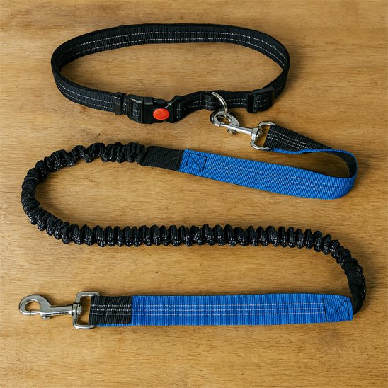 laisse main libre chien nylon résistante
