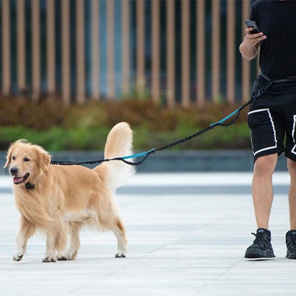laisse main libre pour chien nylon résistante