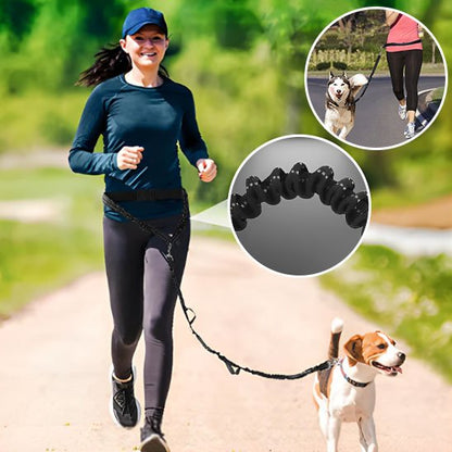 laisse mains libres pour chien ceinture ajustable