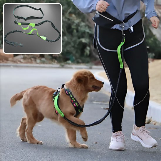 laisse mains libres pour chien confort course