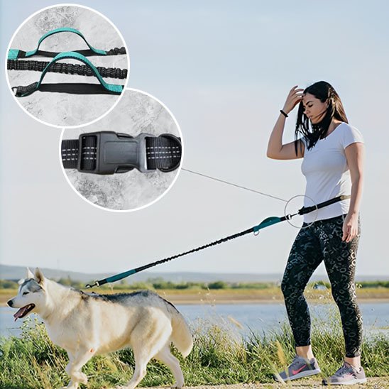 laisse mains libres pour chien contrôle sécurisé