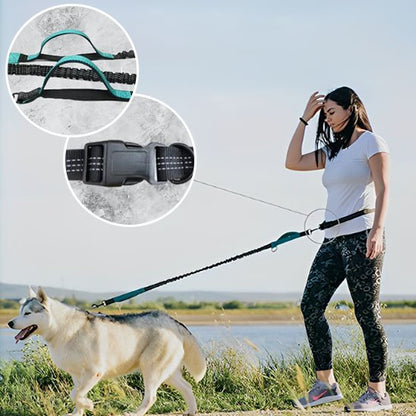 laisse mains libres pour chien contrôle sécurisé