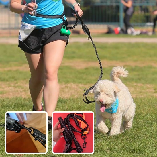 laisse mains libres pour chien course pratique