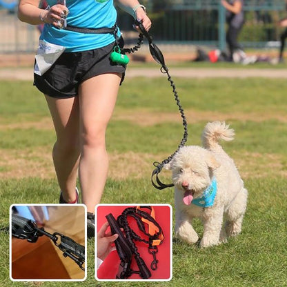 laisse mains libres pour chien course pratique