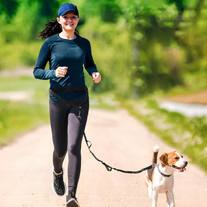 laisse mains libres pour chien jogging quotidien