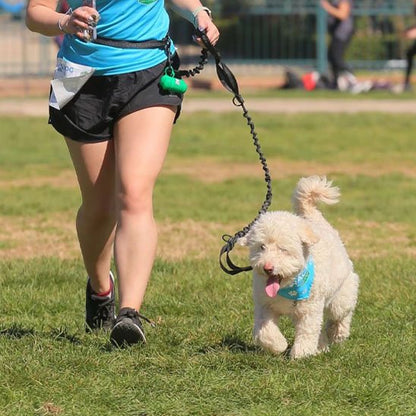 laisse mains libres pour chien promenade confort