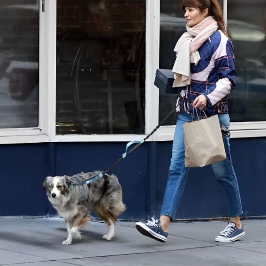 laisse mains libres pour chien sécurité réfléchissante